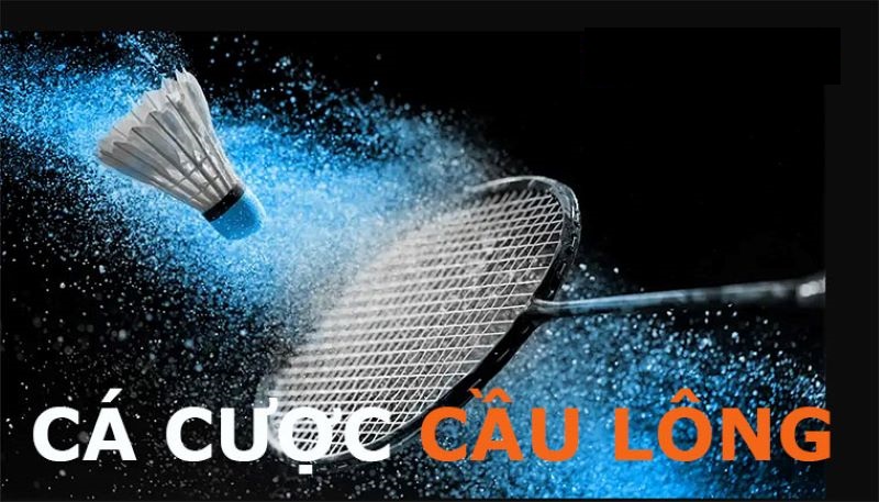 Vì sao nên Cá Cược Cầu Lông tại XocDia88?