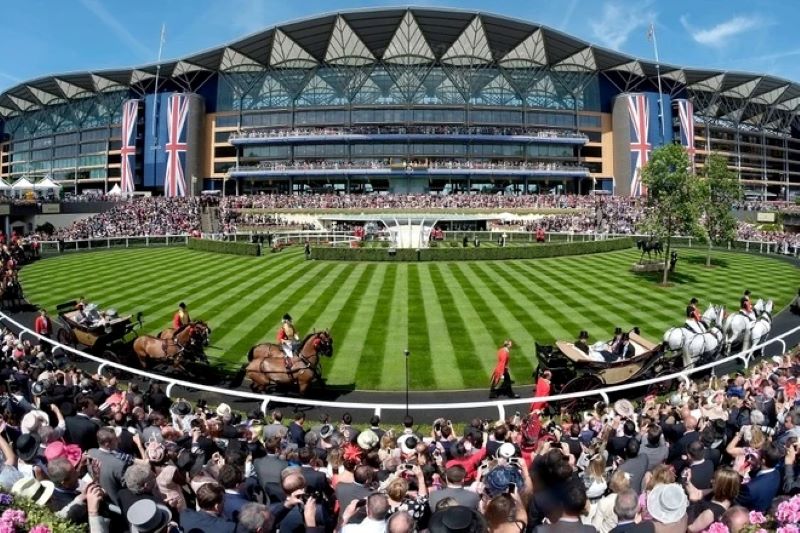 Các loại kèo Cá Cược Đua Ngựa 